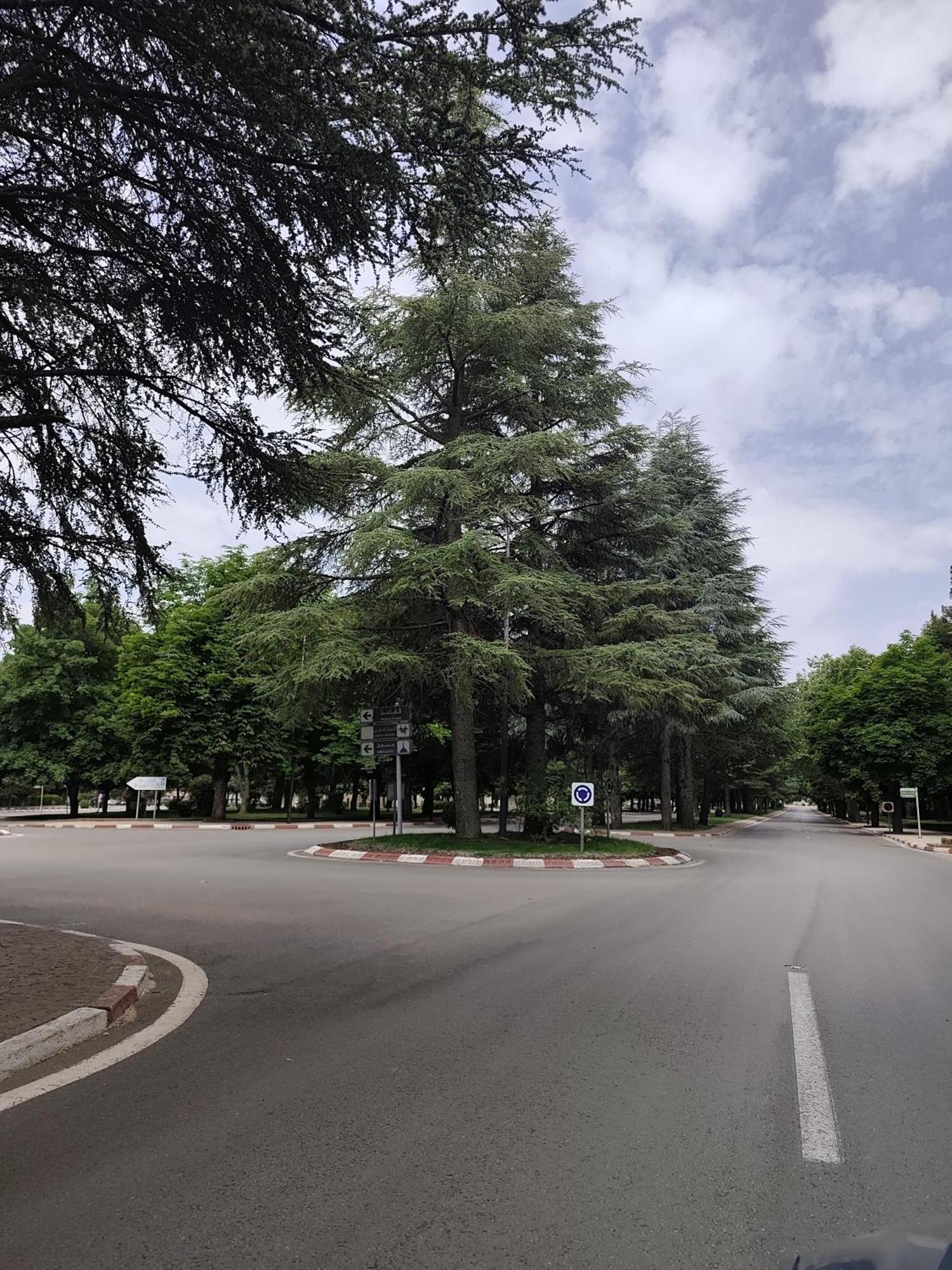 Apartment Super Ifrane (Ifrane)